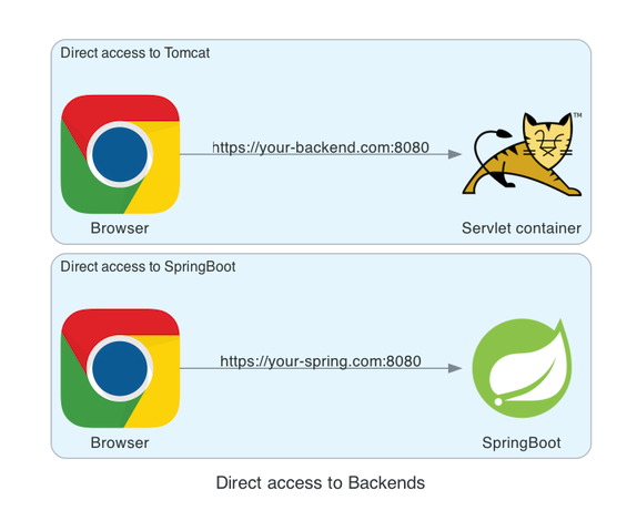 Direct access to backend examples